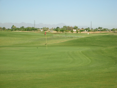 views of cub golf course