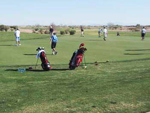 golf bags propped up at the driving range