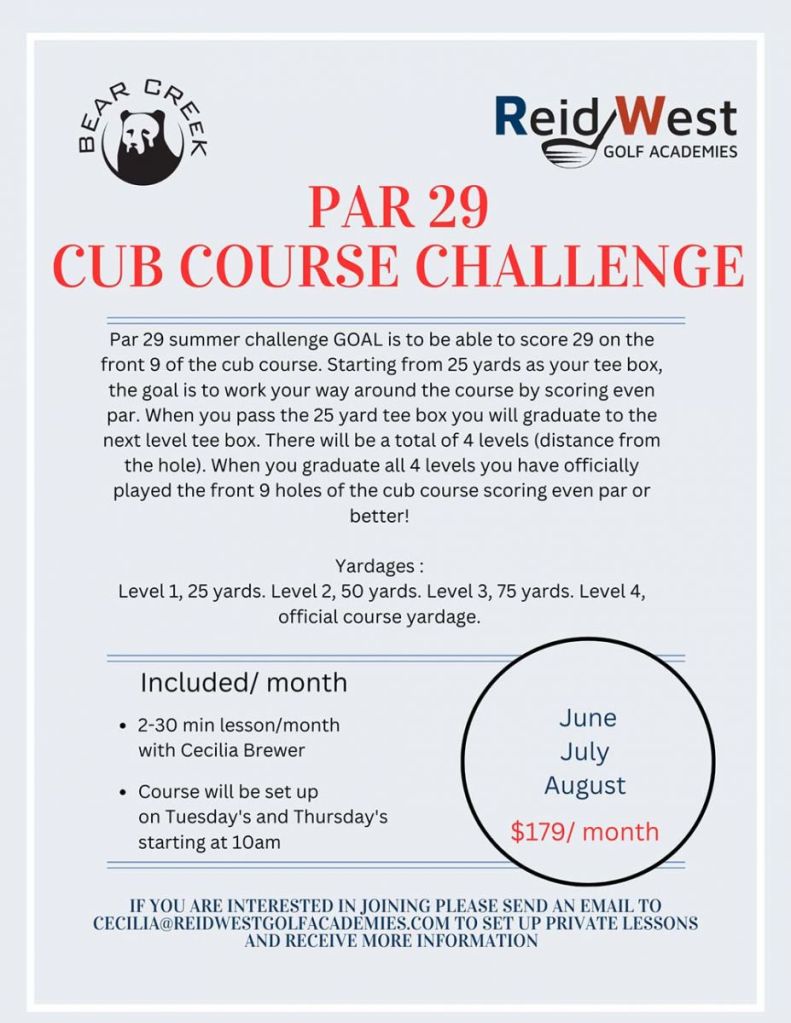 Par 29 Flyer
