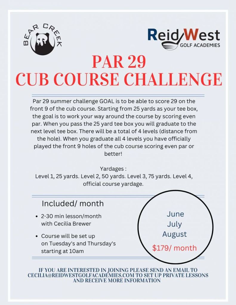 Par 29 Flyer 